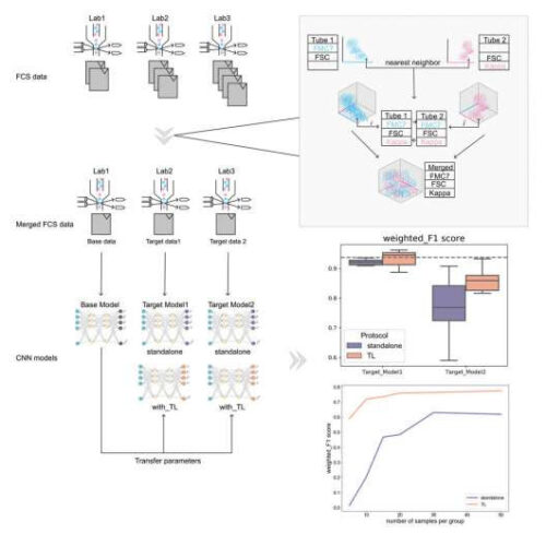 Artificial intelligence helps diagnose leukemia