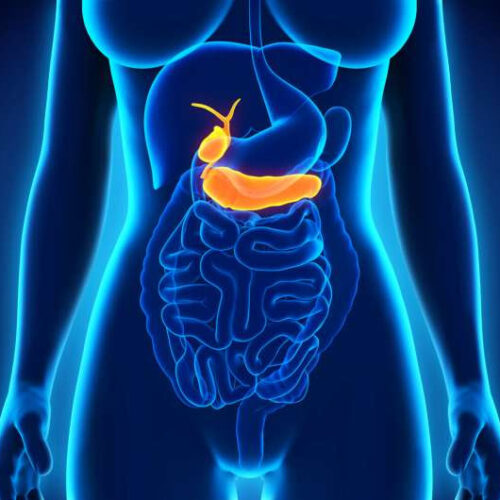 Chronic-inflammatory liver disease therapy with synthetic bile acid also directly affects the immune system