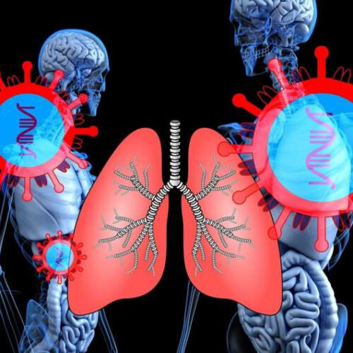 How a plant virus could protect and save your lungs from metastatic cancer