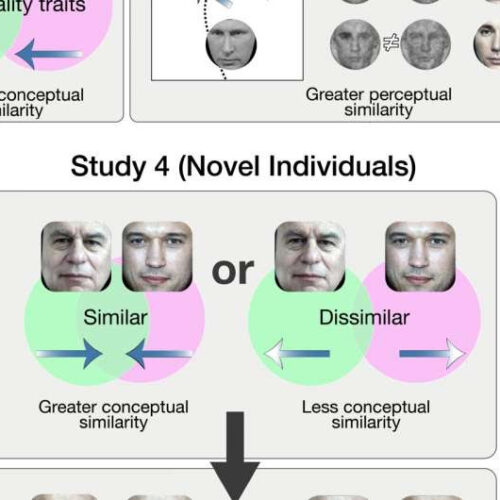 People look alike if we think they have similar personalities, new study finds
