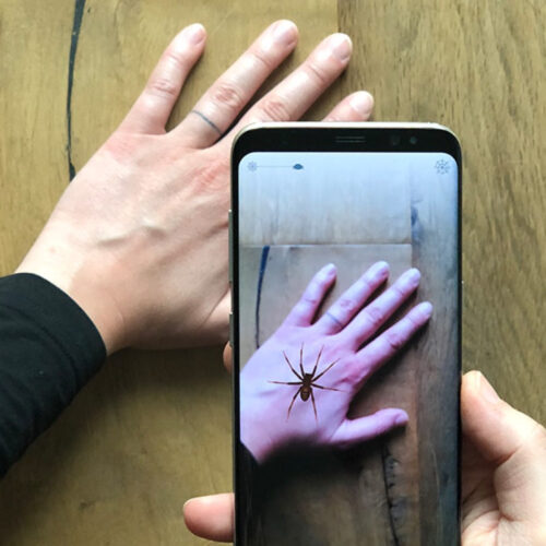 Smartphone app uses AR to help conquer fear of spiders