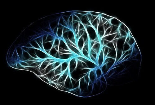 Novel finding shows that brain cells conduct antidepressant action even in the absence of activity