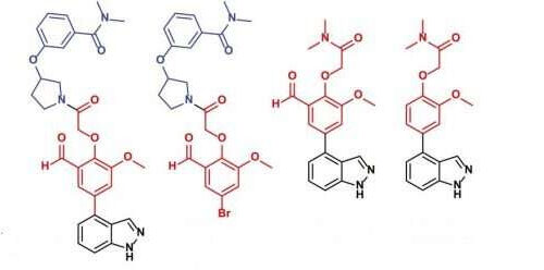 Innovative, faster and more cost-effective technology identifies drug that inhibits SARS-CoV-2 growth in lab setting