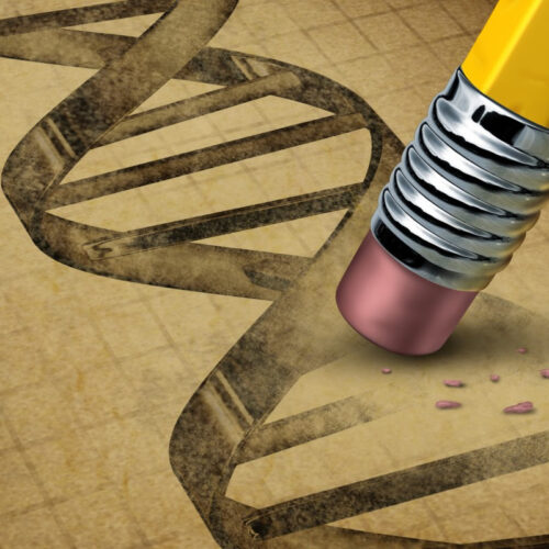 Beyond CRISPR: New class of gene-editing enzymes discovered