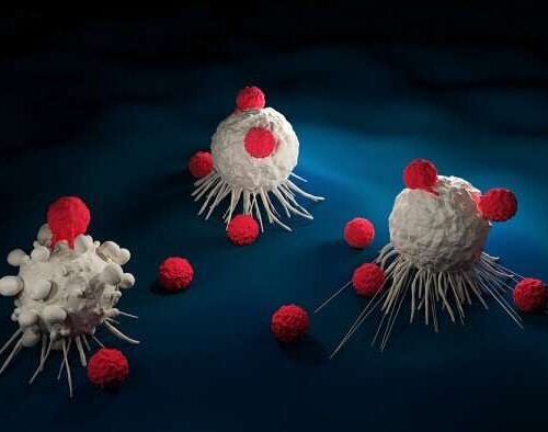 Engineering CAR T cells to deliver endogenous RNA wakes solid tumors to respond to therapy