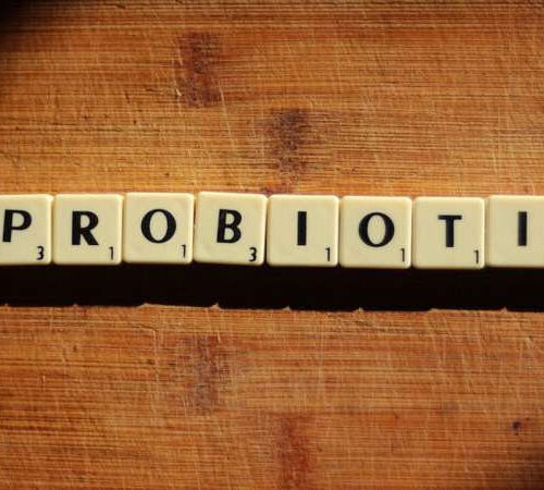 Pre- and probiotics keep intestinal barriers strong