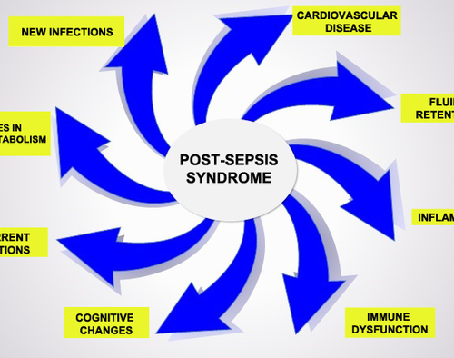 Researchers identify a novel cell type that makes survivors of sepsis more susceptible to infections