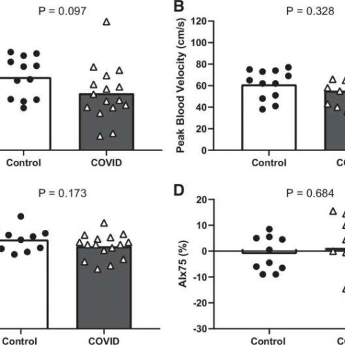 Previously healthy young adults with long COVID show vascular dysfunction in limbs, but not brain