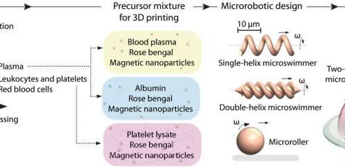 Personalized 3-D magnetic micromachines from patient blood-derived biomaterials