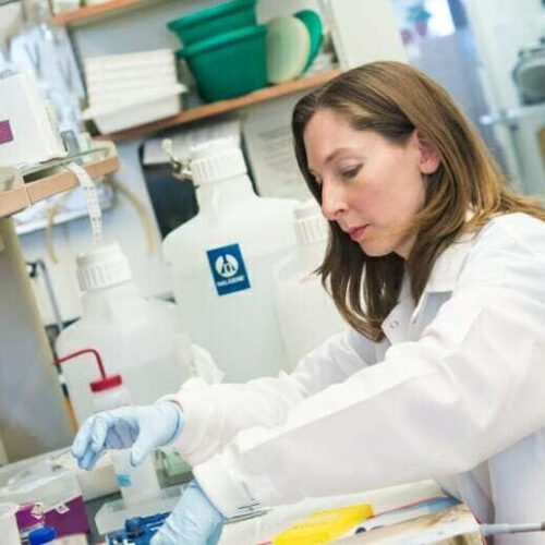 Breast cancer researchers learn how to teach an old drug new tricks to help patients