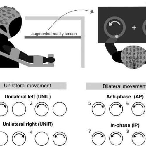 Two-handed movements require more neural effort as people grow older