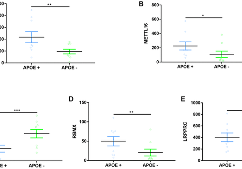 Aging-US: N6-methyladenosine and its clinical relevance in cognitive dysfunctions