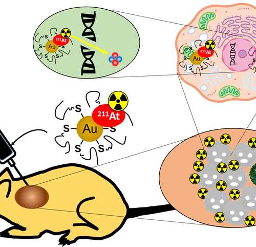 Targeting cancer at the nanoscale