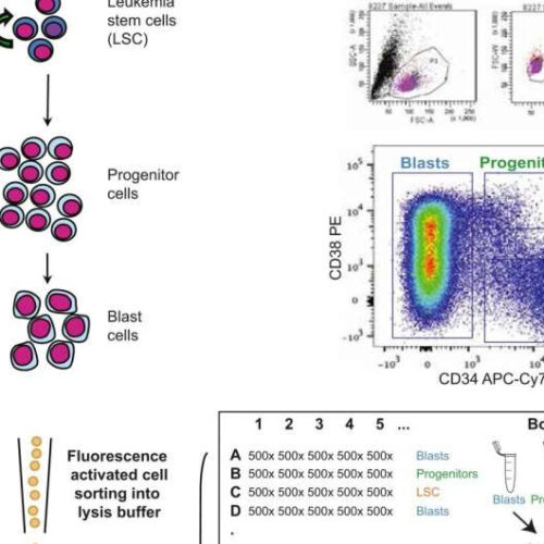 Finding hidden cancer cells by measuring global protein levels in single cells