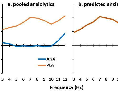 First brain marker for an anxiety disorder discovered