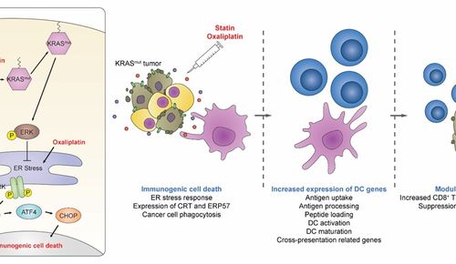 Immunotherapy for intractable mutant cancer using a statin, hyperlipidemia drug