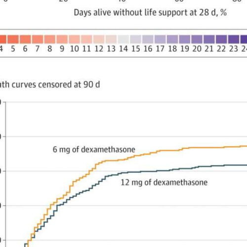 Patients with severe COVID-19 could benefit from higher doses of corticosteroids