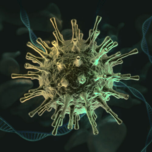 Scientists develop new strategy to fight coronaviruses, vaccinate against future pandemics