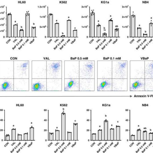 Triple-drug combo could prove key weapon in fight against cancer