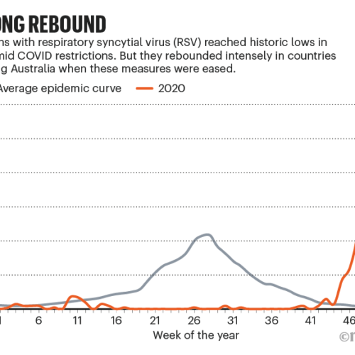 Scientists under attack and weird viruses — the week in infographics