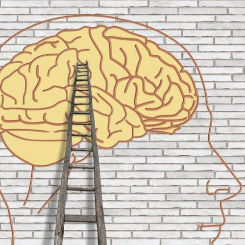 How does our brain really work?
