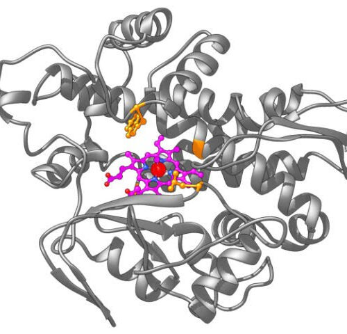 Synthetic biology moves into the realm of the unnatural