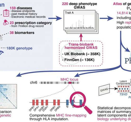 Redefining human diseases through the lens of DNA