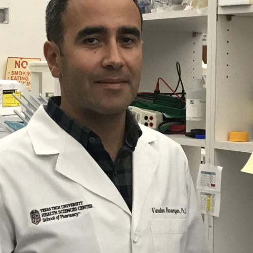 TTUHSC researcher investigates ways to enhance neurolysin activity in the brain