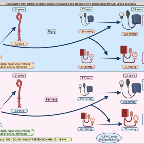 Arterial stiffness in adolescence may potentially cause hypertension and obesity in young adulthood