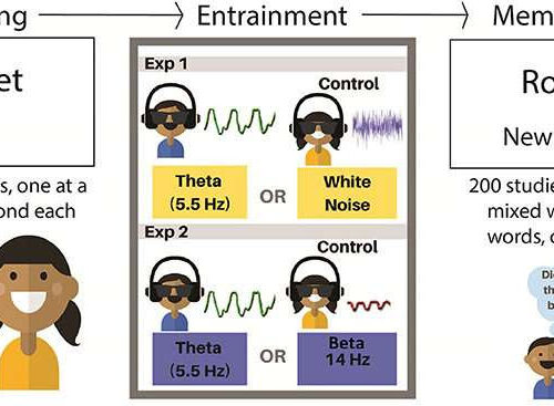 Boosting memory performance by finding amplitude of brain waves and speeding oscillations