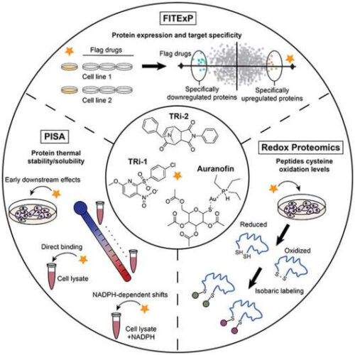 Gold-based cancer therapy could face competition from other substances