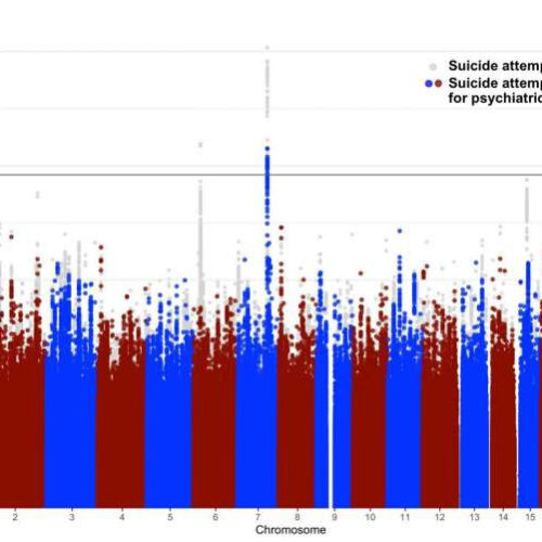 Largest study of suicide attempts confirms genetic underpinnings that are not driven by underlying psychiatric disorders