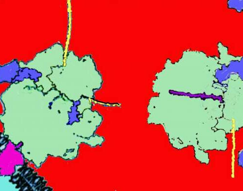 Unveiling the hidden cellular logistics of memory storage in neurons