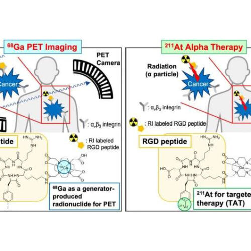 Radiometals and radiohalogens: A potential new combination for cancer treatment