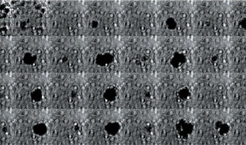 Engineered Bacteria Use Air Bubbles as Acoustically Detonated Tumor TNT