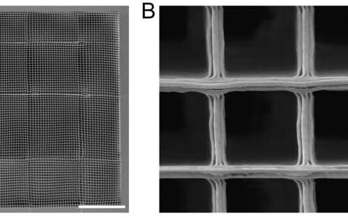 New scaffold design improves growth of regenerating neurons