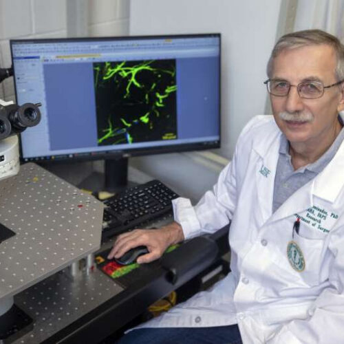 Blood plasma protein fibrinogen interacts directly with nerve cells to cause brain inflammation