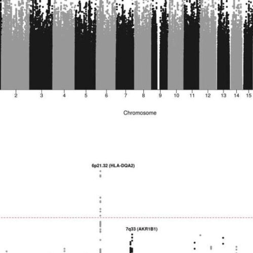 Study identifies genetic risk factors for leukemia