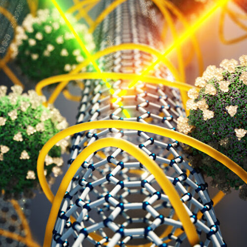 Carbon Nanotube Sensor Detects SARS-CoV-2 Within 5 Minutes