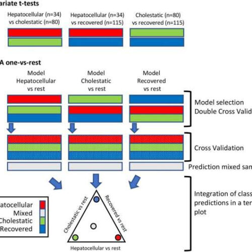 A clearer and more visual pattern to diagnose and monitor drug-induced liver injury