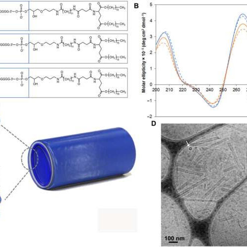 DNA nanotubes deliver therapeutics to glioblastoma tumors