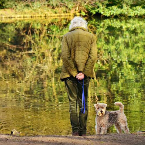 Grief over death of animal companions needs to be taken more seriously, says researcher