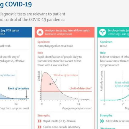 Infographic: COVID-19 diagnostic tests reviewed