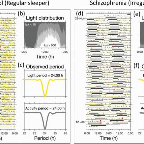 Mathematical model of light and circadian data improves sleep timing in people with schizophrenia