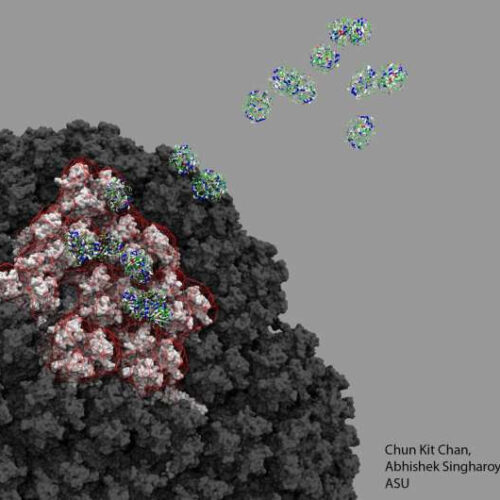 Scientists solve an important part of the mystery of ultra-rare blood clots linked to adenovirus-based COVID-19 vaccines