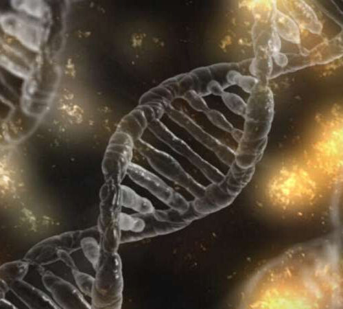 Gene x environment interactions may help reduce mesothelioma risk