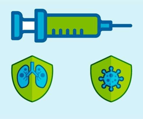 Untangling the immune response to vaccines