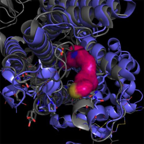 Compound shows promise for minimizing erratic movements in Parkinson’s patients