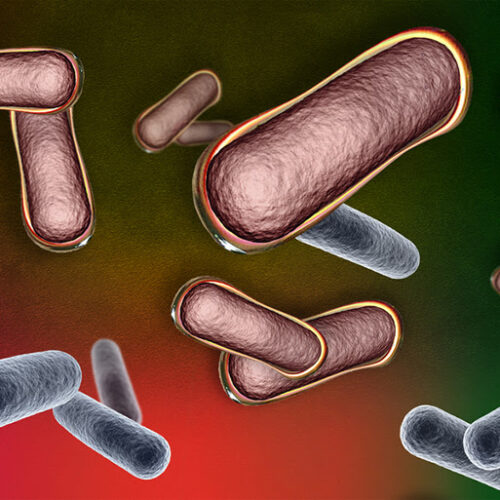 Self-Assembling Coating Protects Bacteria for Therapeutic Delivery