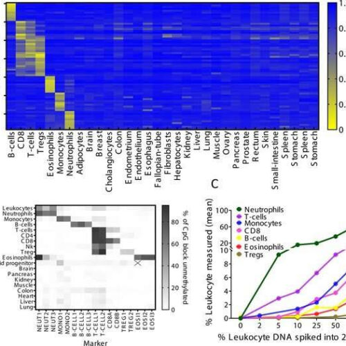 Blood test detects immune and inflammatory activity in tissues, without painful biopsies and expensive imaging